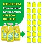 Simple Green Lemon All Purpose Cleaner Set