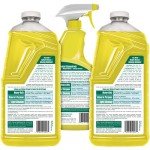 Simple Green Lemon All Purpose Cleaner Set