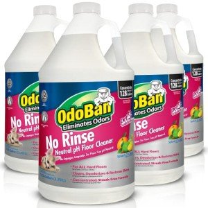 OdoBan Pet-Friendly No Rinse Floor Cleaner, 4 Gallons