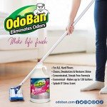 OdoBan Pet-Friendly No Rinse Floor Cleaner, 4 Gallons