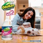 OdoBan Pet-Friendly No Rinse Floor Cleaner, 4 Gallons
