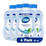 Dial Antibacterial Foaming Hand Wash, 30 Ounce 4-Pack