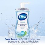 Dial Antibacterial Foaming Hand Wash, 30 Ounce 4-Pack