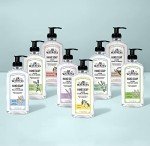 J.R. Watkins Aloe & Green Tea Hand Soap, 6 Pack