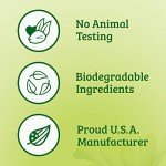 Biokleen Bac Out Stain & Odor Eliminator, 32 oz