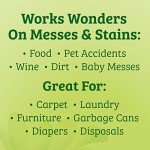 Biokleen Bac Out Stain & Odor Eliminator, 32 oz