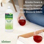 Biokleen Bac Out Stain & Odor Eliminator, 32 oz
