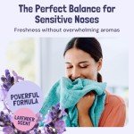 Carpet Miracle Shampoo - Deep Clean & Deodorize