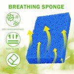 YoleShy Durable Natural Cellulose Kitchen Sponges (10)