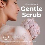 MainBasics Exfoliating Loofah Sponge Set of 3