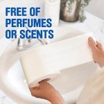 Scott Rapid-Dissolving Septic-Safe Toilet Paper - 12 Rolls