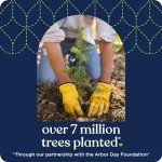 Quilted Northern Mega Rolls – Ultra Soft & Strong