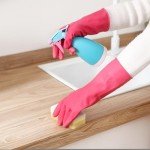 Bamllum Reusable Rubber Cleaning Gloves - 4 Pairs