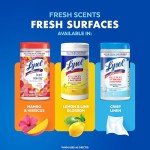 Lysol Multi-Surface Antibacterial Disinfectant Wipes, 4-Pack