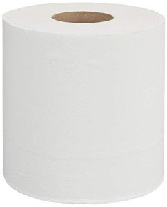 AmazonCommercial 2-Ply Centerpull Paper Towels - 600ct