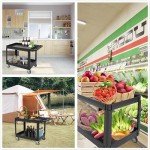 2-Shelf Service Cart with Handle - 500 lbs Capacity