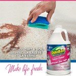 OdoBan 3-in-1 Carpet Cleaner - 128 Oz