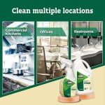 CloroxPro EcoClean All-Purpose Cleaner Spray - 32 oz
