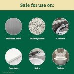 CloroxPro EcoClean All-Purpose Cleaner Spray - 32 oz