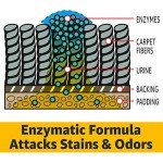 AmazonCommercial Multi-Purpose Enzyme Cleaner, Mint, 1 Gallon