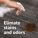 AmazonCommercial Multi-Purpose Enzyme Cleaner, Mint, 1 Gallon