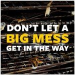 Scotch-Brite Heavy-Duty Yellow Scrub Sponges, 9 Pack