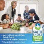 Clorox All-Purpose Cleaner with Reusable Spray Bottle