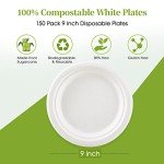150 Pack Heavy Duty Compostable Paper Plates