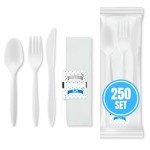 Individually Wrapped Plastic Cutlery Set - 250 Count