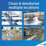 CloroxPro Pine-Sol Multi-Surface Cleaner, 144 oz