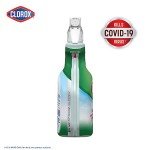 Clorox All-Purpose Cleaner with Bleach, 32 oz