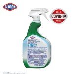 Clorox All-Purpose Cleaner with Bleach, 32 oz