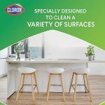 Clorox All-Purpose Cleaner with Bleach, 32 oz