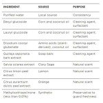 Better Life Multipurpose Cleaner - 32oz Spray