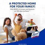 Lysol Disinfectant Spray, Multi-Purpose Antibacterial Cleaners