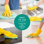 Cloralen 3-in-1 All-Purpose Cleaning Spray, 32 oz