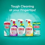 Cloralen 3-in-1 All-Purpose Cleaning Spray, 32 oz