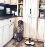 Electric Cordless Mop for Hard Floors & Tiles