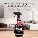 PINALEN Sunrise Memories Multipurpose Cleaner Spray 22 Fl. Oz