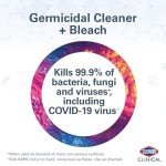 Clorox Clinical Germicidal Cleaner with Bleach, 2-Pack