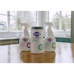 Clorox Clinical Germicidal Cleaner with Bleach, 2-Pack