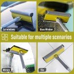 Jetshine 2-in-1 Window Squeegee with Extension Pole