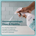 Clean Republic All-Natural Multi-Purpose Disinfectant Spray