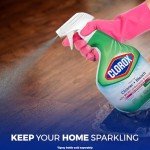 Multi-Purpose Bleach Disinfectant Cleaners Bundle