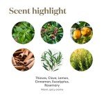 Thieves All-Purpose Plant-Based Household Cleaner 14.4 oz