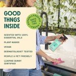 Aunt Fannie's Eucalyptus Multi-Surface Cleaning Vinegar