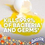 Fantastik Multi-Surface Cleaner with Fresh Scent, 32 Oz