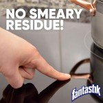 Fantastik Multi-Surface Cleaner with Fresh Scent, 32 Oz