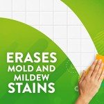 Scrubbing Bubbles Bleach Cleaner Spray, 32oz