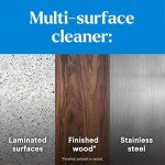 Clorox EcoClean Disinfecting Cleaner Refill, 4-Pack